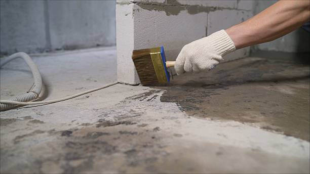 SJ Waterproofing Pros Waterproofing coverage map for Morrisonville, WI and surrounding area